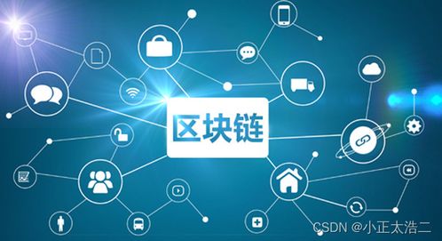 區(qū)塊鏈技術(shù)在軟件開(kāi)發(fā)中的應(yīng)用與前瞻